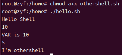 shell2.png