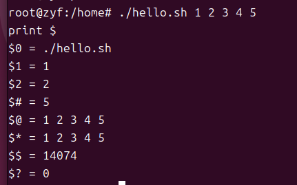 shell4.png