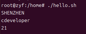 shell3.png
