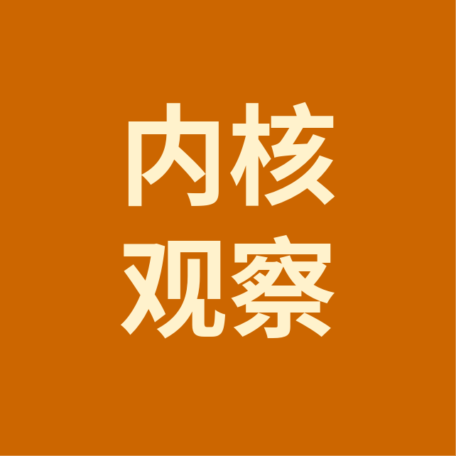 内核观察